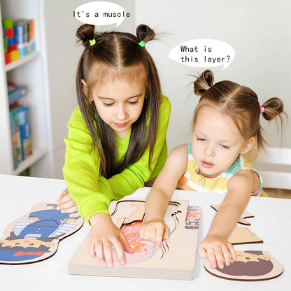 Human Anatomy Puzzle for Kids – Montessori Wooden Educational Toy