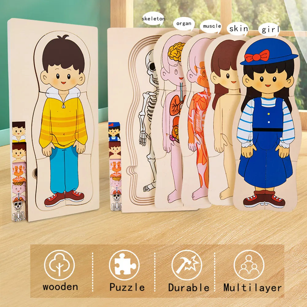 Human Anatomy Puzzle for Kids – Montessori Wooden Educational Toy