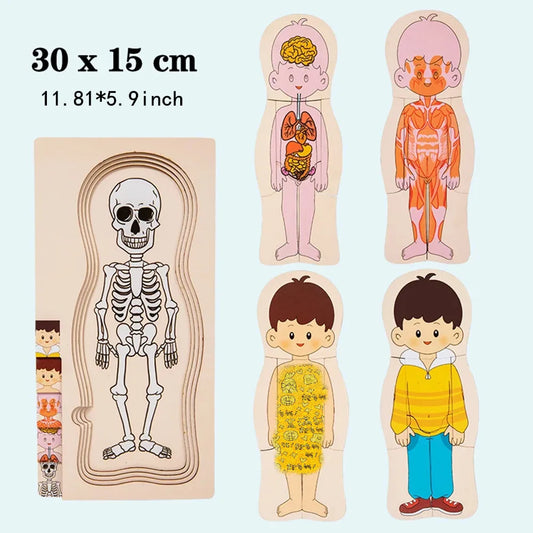 Human Anatomy Puzzle for Kids – Montessori Wooden Educational Toy